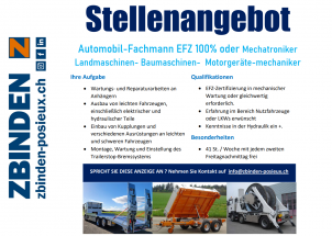 Image Wir suchen eine/n Automobil-Fachmann/-frau mit EFZ 100%